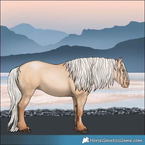 Horse Color:Silver Bay Pearl Dun