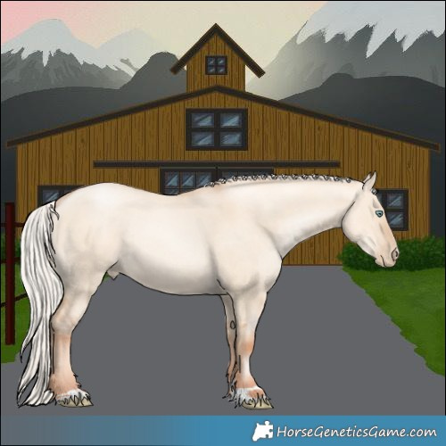Horse Color:Silver Amber Champagne Pearl Dun Rabicano 