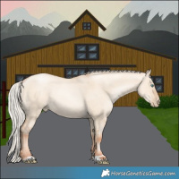 Horse Color:Silver Amber Champagne Pearl Dun Rabicano 