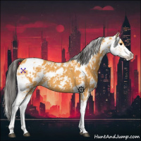 Horse Color:Buckskin Sabino 