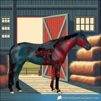 Horse Color:ERROR: UNKNOWN ANOMALY