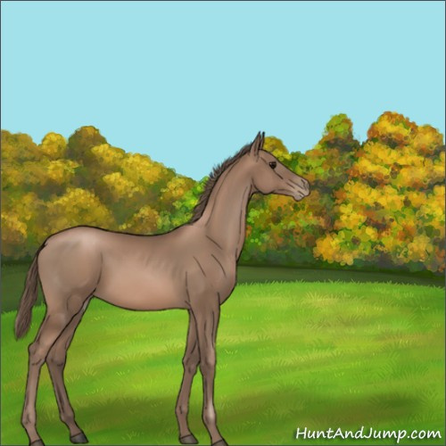 Horse Color:Black Pearl 