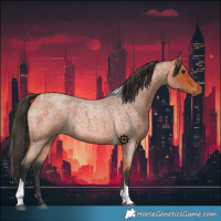 Horse Color:Bay Roan Tobiano 