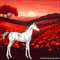 Horse Color:Chestnut Sabino 