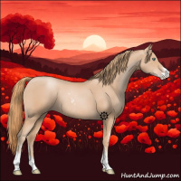 Horse Color:Gold Champagne Sabino 
