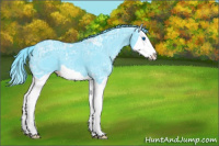 Horse Color:Watercolor Black Ice Splash 