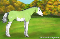 Horse Color:Watercolor Bay Splash Rabicano 