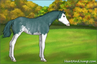 Horse Color:Watercolor Black Sabino Splash Rabicano 