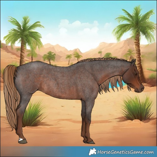 Horse Color:Liver Red Roan Rabicano