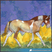 Horse Color:Gold Champagne Onyx Tobiano 