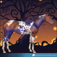 Horse Color:Chestnut Tobiano