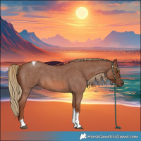 Horse Color:Red Roan Tobiano