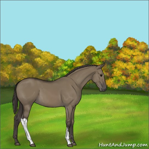 Horse Color:Smoky Grullo 