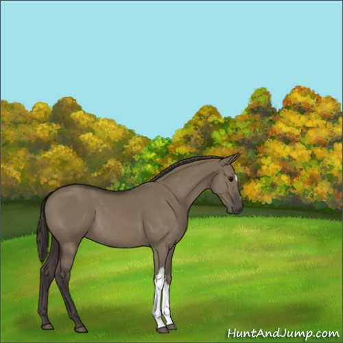 Horse Color:Smoky Grullo 