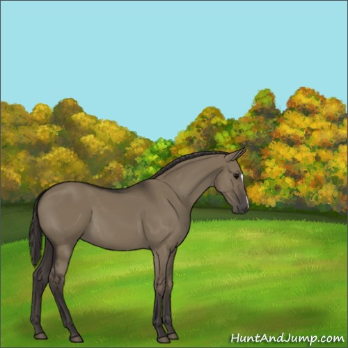 Horse Color:Smoky Grullo 