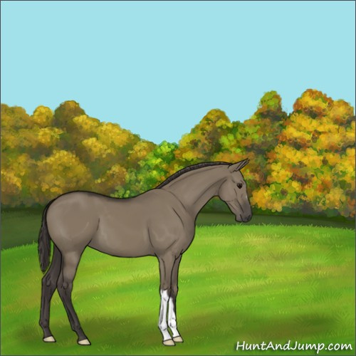 Horse Color:Smoky Grullo 