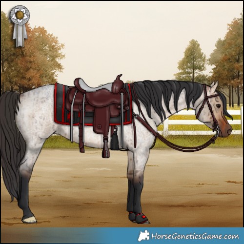 Horse Color:Bay Roan Dun Brindle 