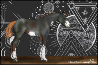 Horse Color:Liver Chestnut Sabino