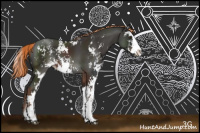 Horse Color:Liver Chestnut Sabino