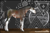 Horse Color:Liver Chestnut Sabino Rabicano