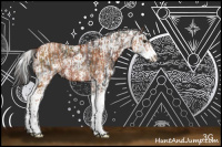 Horse Color:Brown Sabino Rabicano  and Brown Sabino 
