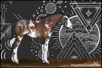 Horse Color:Brown Sabino