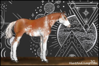 Horse Color:Silver Bay Sabino 