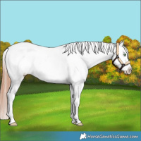 Horse Color:Amber Champagne Roan Dun Snowflake VarnishRabicano