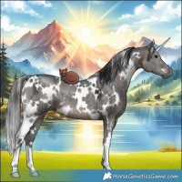 Horse Color:White Spotted Grullo Ice Brindle 