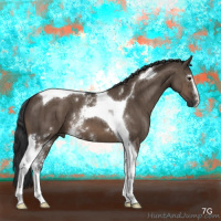 Horse Color:White Spotted Brown Dun Tobiano Brindle 