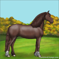 Horse Color:Chocolate Smoky Black 