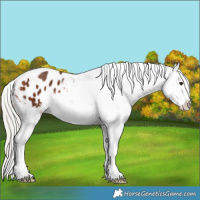 Horse Color:Silver Brown Tobiano Varnish 