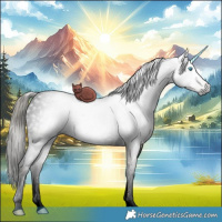 Horse Color:Gray Void White Spotted Liver Red Dun Pearl Mushroom Tobiano Brindle 
