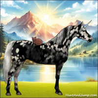 Horse Color:Void Liver Red Dun Ice Pearl Mushroom Sabino Tobiano Appaloosa 