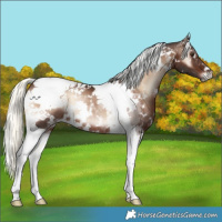 Horse Color:White Spotted Liver Red Onyx Mushroom Tobiano Rabicano 