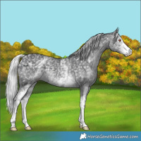 Horse Color:White Spotted Silver Black Chinchilla Ice 