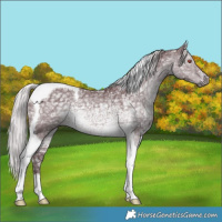 Horse Color:Chocolate Silver Black Chinchilla Ice Tobiano 