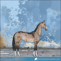 Horse Color:Bay Dun Brindle 