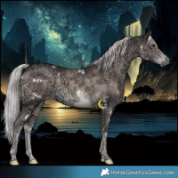 Horse Color:Platinum White Spotted Chocolate Palomino Ice 