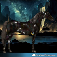 Horse Color:White Spotted Midnight Liver Chestnut Ice 
