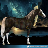Horse Color:Midnight Chocolate Palomino Ice Dun Splash