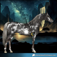 Horse Color:White Spotted Liver Red Dun Ice Mushroom Brindle 