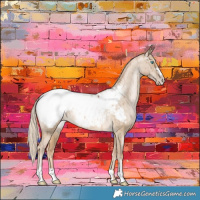 Horse Color:Chocolate Palomino Pearl Dun Sabino Appaloosa Brindle