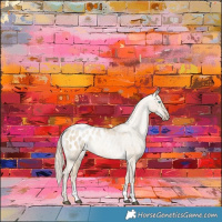 Horse Color:Chocolate Palomino Pearl Dun Sabino Appaloosa 