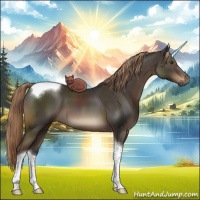 Horse Color:Liver Chestnut Tobiano