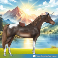 Horse Color:Liver Chestnut Tobiano 