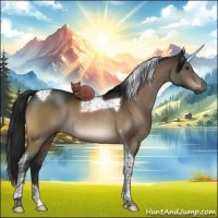 Horse Color:Gray Brown Tobiano