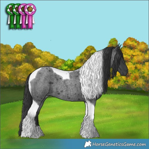 Horse Color:Blue Roan Tobiano 