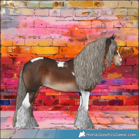 Horse Color:Liver Chestnut Tobiano 