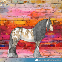 Horse Color:Buckskin Dun Tobiano Near Leopard Brindle 